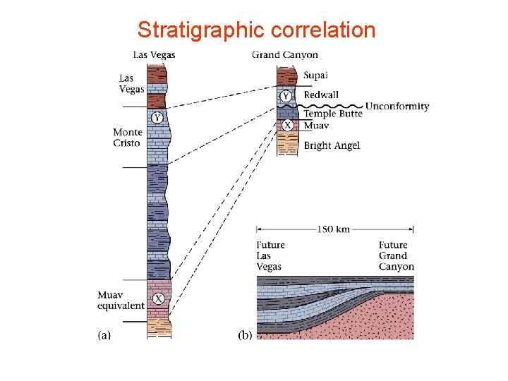 Stratigraphic correlation 