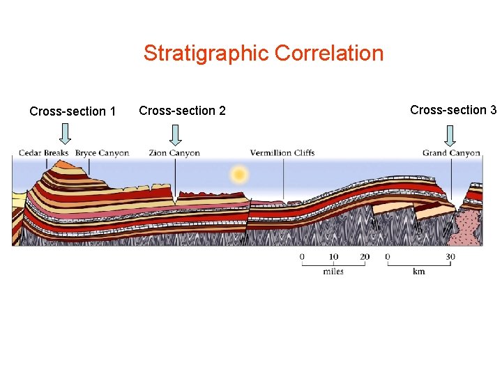 Stratigraphic Correlation Cross-section 1 Cross-section 2 Cross-section 3 