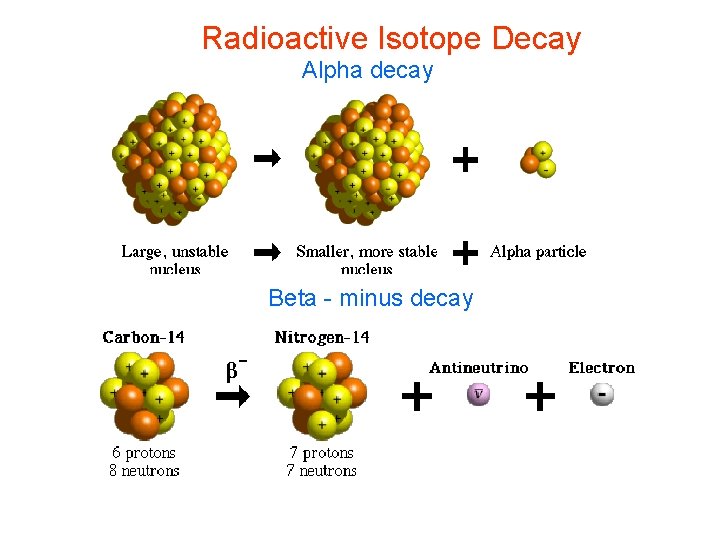 Radioactive Isotope Decay Alpha decay Beta - minus decay 