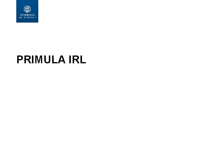  PRIMULA IRL 