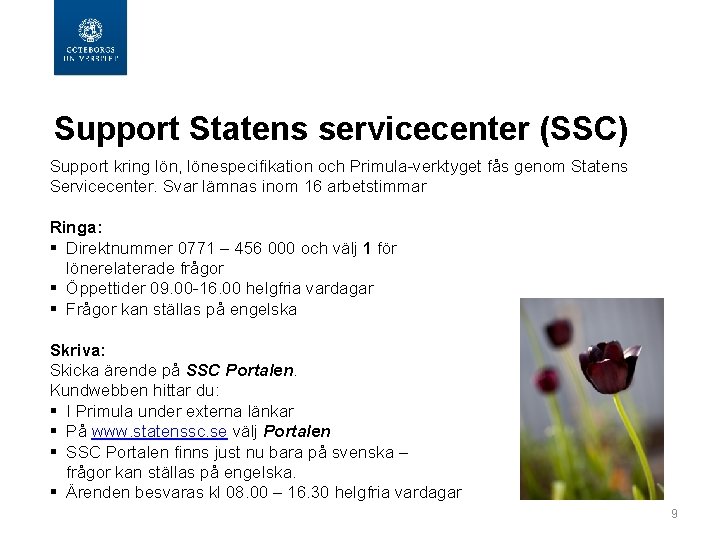  Support Statens servicecenter (SSC) Support kring lön, lönespecifikation och Primula-verktyget fås genom Statens