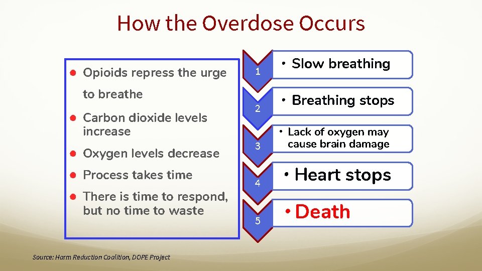 How the Overdose Occurs ● Opioids repress the urge to breathe ● Carbon dioxide