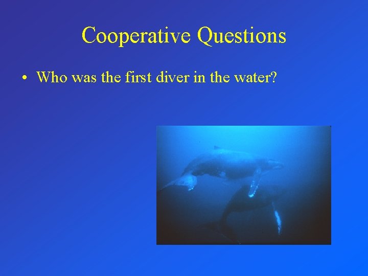 Cooperative Questions • Who was the first diver in the water? 