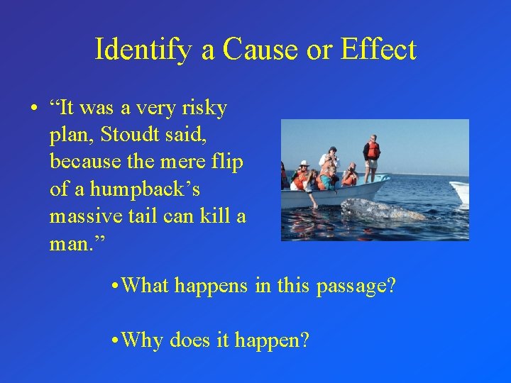 Identify a Cause or Effect • “It was a very risky plan, Stoudt said,