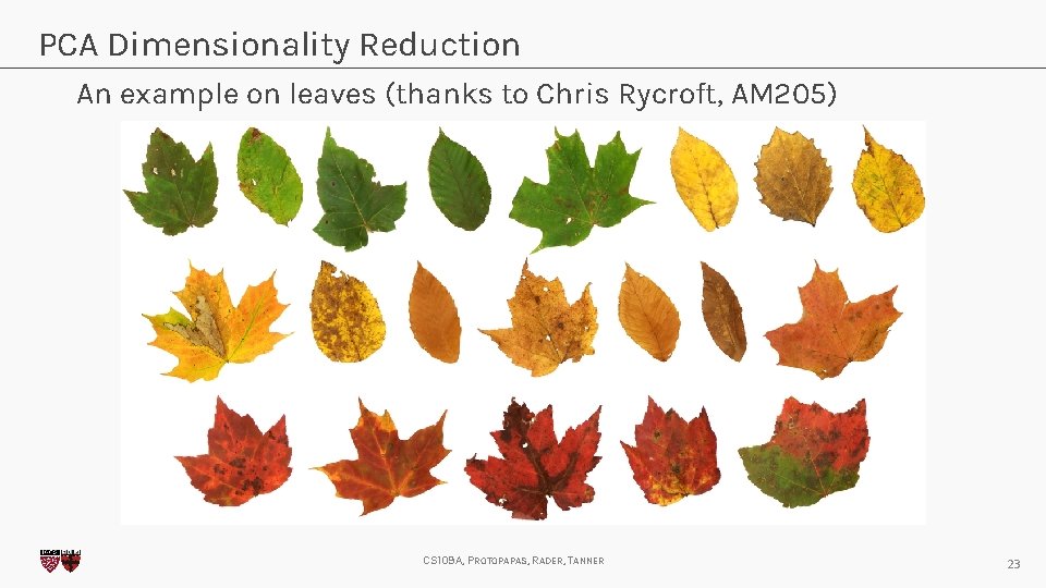 PCA Dimensionality Reduction An example on leaves (thanks to Chris Rycroft, AM 205) CS