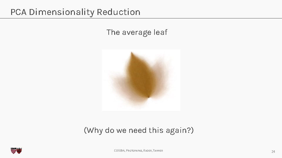 PCA Dimensionality Reduction The average leaf (Why do we need this again? ) CS
