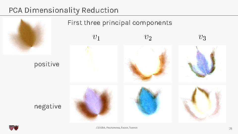 PCA Dimensionality Reduction First three principal components positive negative CS 109 A, PROTOPAPAS, RADER,