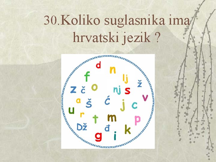 30. Koliko suglasnika ima hrvatski jezik ? 30. Koliko suglasnika ima hrvatski jezik ?