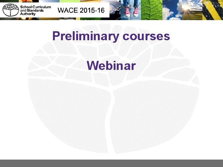 Preliminary courses Webinar 