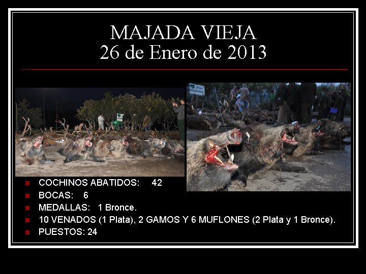 MAJADA VIEJA 26 de Enero de 2013 n n n COCHINOS ABATIDOS: 42 BOCAS: