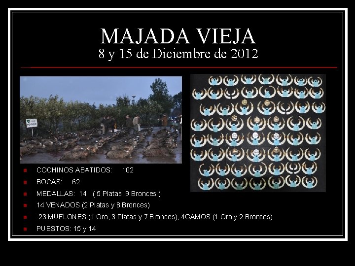 MAJADA VIEJA 8 y 15 de Diciembre de 2012 n COCHINOS ABATIDOS: n BOCAS: