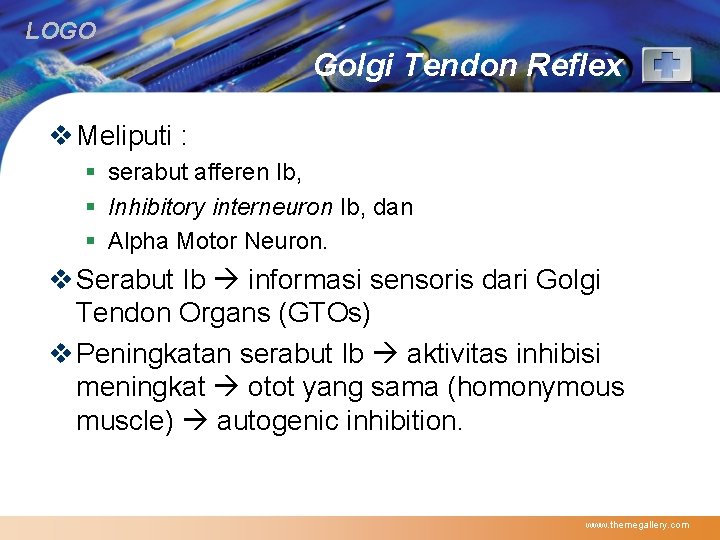 LOGO Golgi Tendon Reflex v Meliputi : § serabut afferen Ib, § Inhibitory interneuron