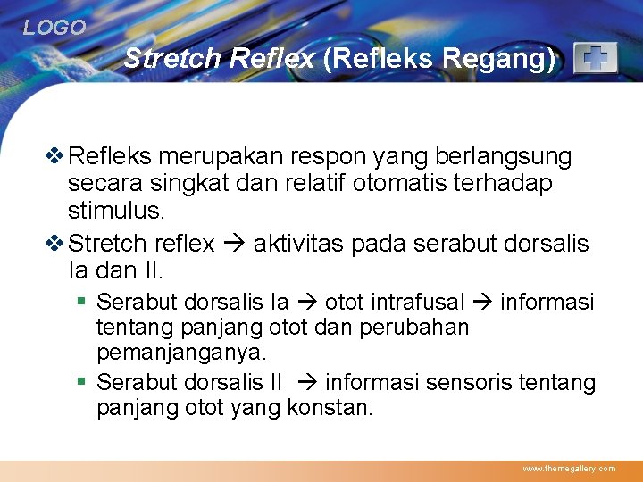 LOGO Stretch Reflex (Refleks Regang) v Refleks merupakan respon yang berlangsung secara singkat dan