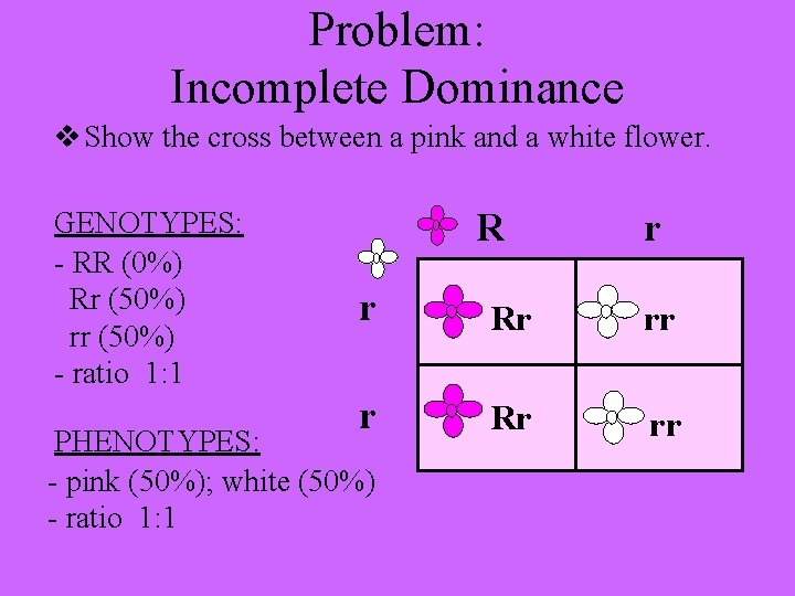 Problem: Incomplete Dominance v Show the cross between a pink and a white flower.