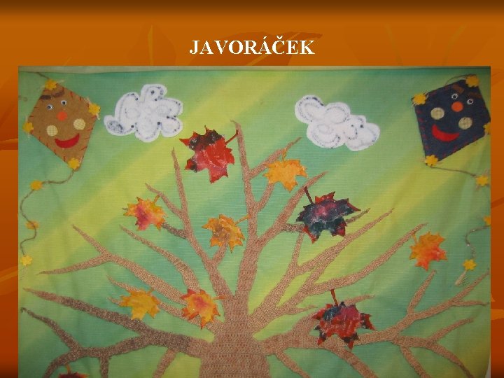 JAVORÁČEK 