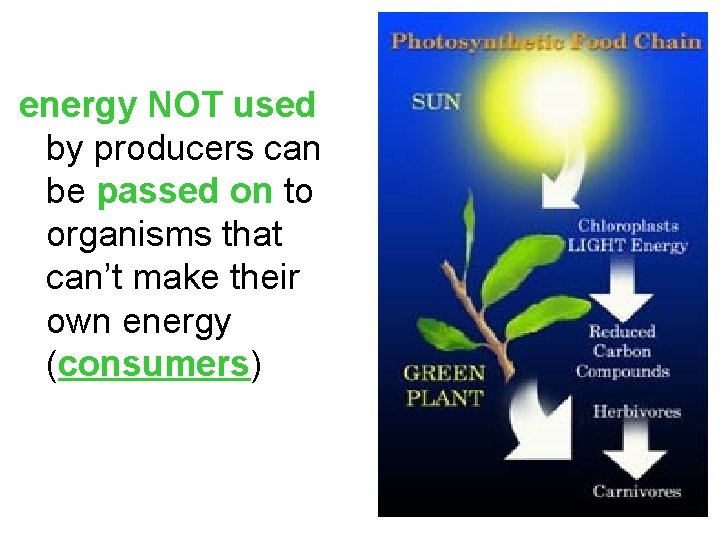 energy NOT used by producers can be passed on to organisms that can’t make