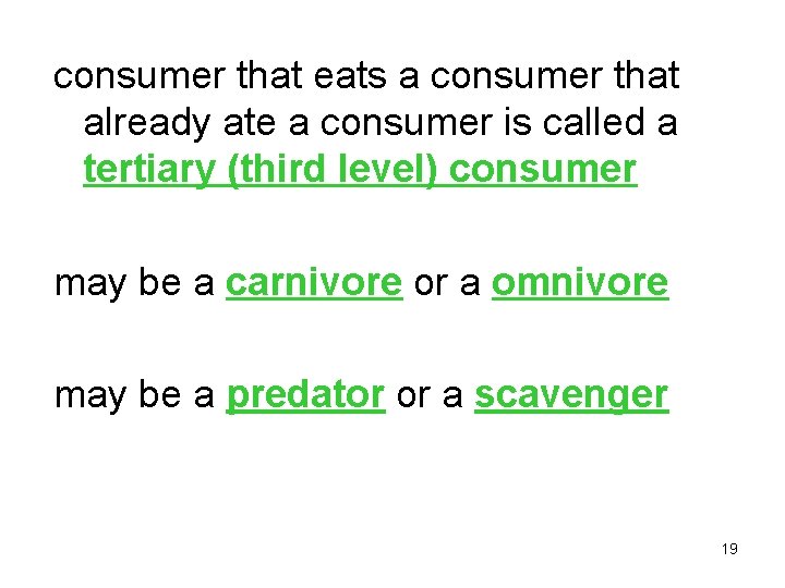 consumer that eats a consumer that already ate a consumer is called a tertiary