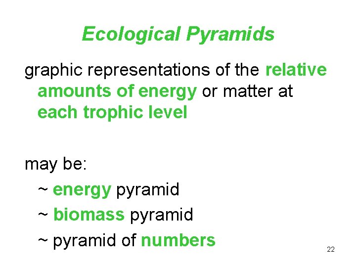 Ecological Pyramids graphic representations of the relative amounts of energy or matter at each