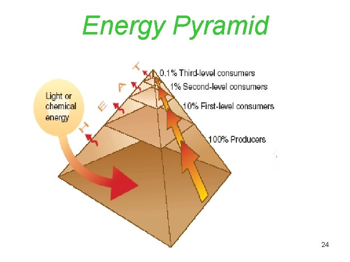 Energy Pyramid 24 