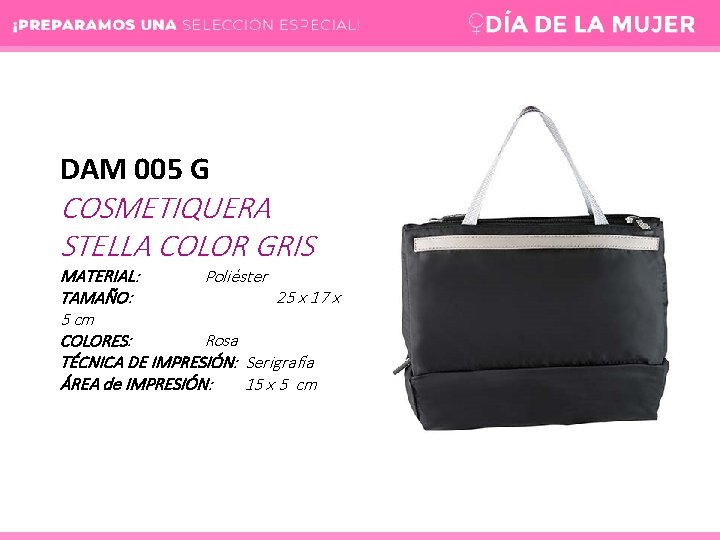 DAM 005 G COSMETIQUERA STELLA COLOR GRIS MATERIAL: Poliéster TAMAÑO: 25 x 17 x