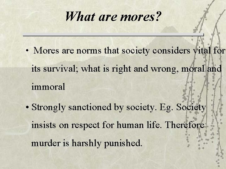 What are mores? • Mores are norms that society considers vital for its survival;