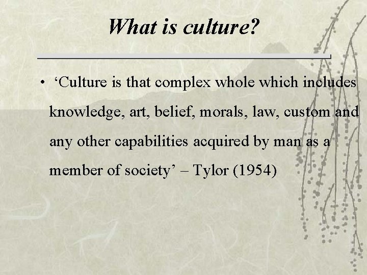 What is culture? • ‘Culture is that complex whole which includes knowledge, art, belief,