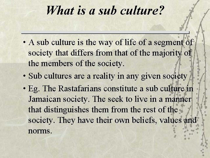 What is a sub culture? • A sub culture is the way of life