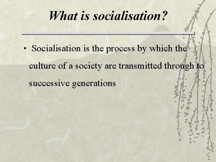 What is socialisation? • Socialisation is the process by which the culture of a