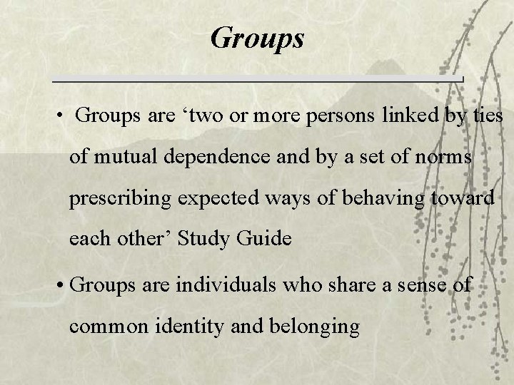 Groups • Groups are ‘two or more persons linked by ties of mutual dependence