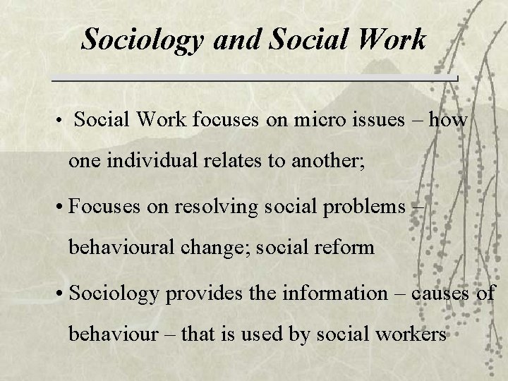 Sociology and Social Work • Social Work focuses on micro issues – how one