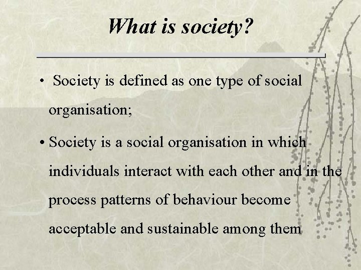 What is society? • Society is defined as one type of social organisation; •