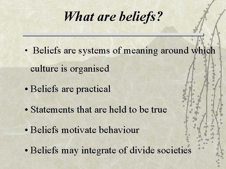 What are beliefs? • Beliefs are systems of meaning around which culture is organised