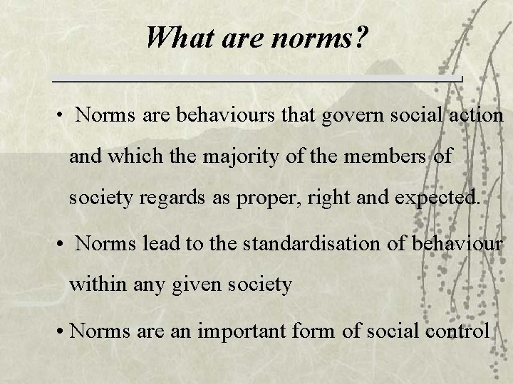 What are norms? • Norms are behaviours that govern social action and which the