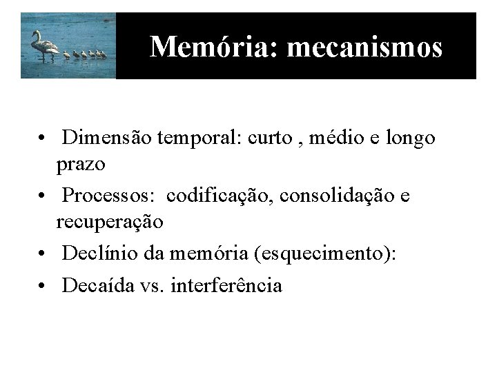 Memória: mecanismos • Dimensão temporal: curto , médio e longo prazo • Processos: codificação,