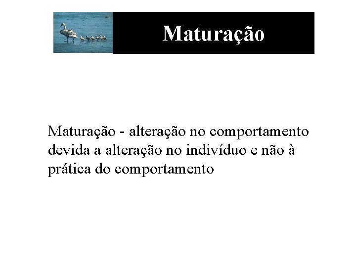 Maturação - alteração no comportamento devida a alteração no indivíduo e não à prática