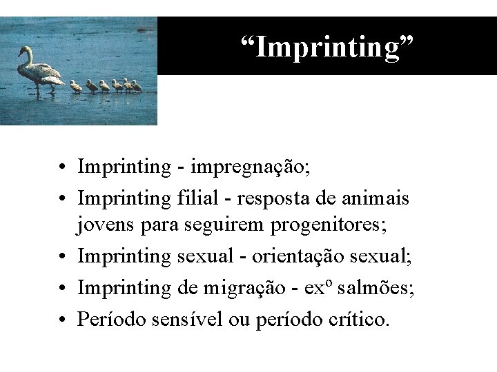 “Imprinting” • Imprinting - impregnação; • Imprinting filial - resposta de animais jovens para