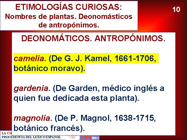 ETIMOLOGÍAS CURIOSAS: Nombres de plantas. Deonomásticos de antropónimos. DEONOMÁTICOS. ANTROPÓNIMOS. camelia. (De G. J.