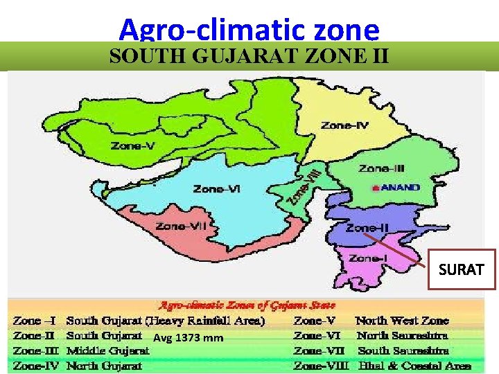 Agro-climatic zone SOUTH GUJARAT ZONE II SURAT Avg 1373 mm 