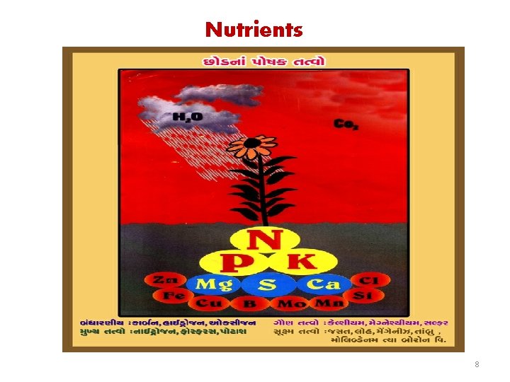 Nutrients 8 
