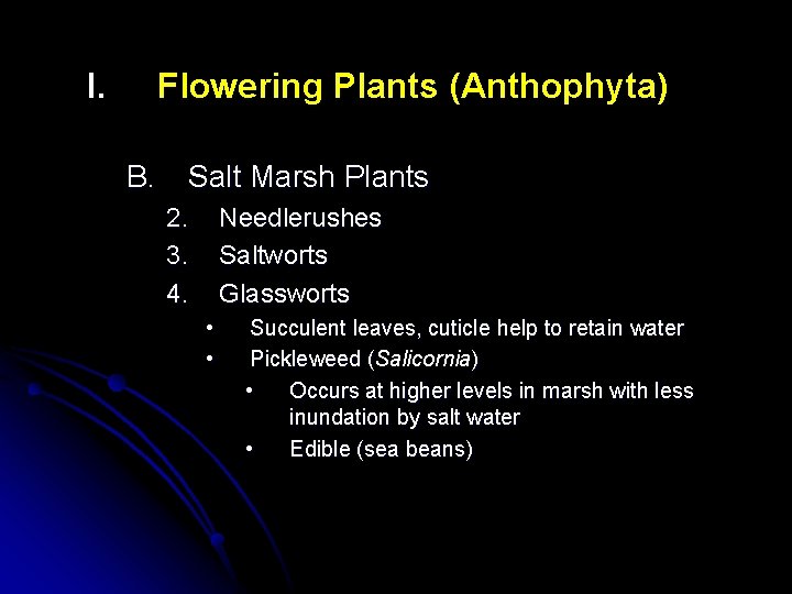 I. Flowering Plants (Anthophyta) B. Salt Marsh Plants 2. 3. 4. Needlerushes Saltworts Glassworts