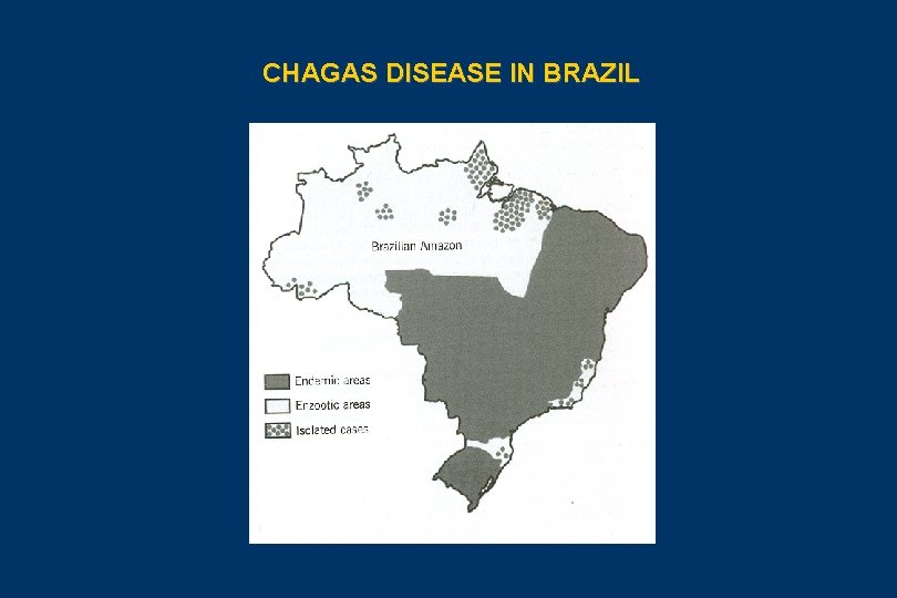 CHAGAS DISEASE IN BRAZIL 