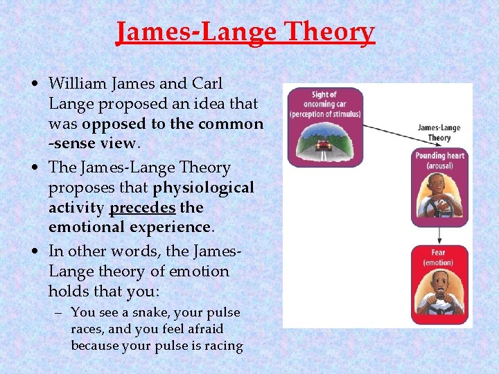 James-Lange Theory • William James and Carl Lange proposed an idea that was opposed