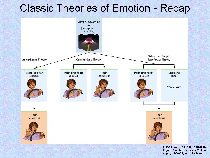 Classic Theories of Emotion - Recap Figure 12. 1 Theories of emotion Myers: Psychology,