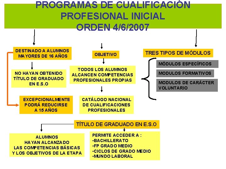 PROGRAMAS DE CUALIFICACIÓN PROFESIONAL INICIAL ORDEN 4/6/2007 DESTINADO A ALUMNOS MAYORES DE 16 AÑOS