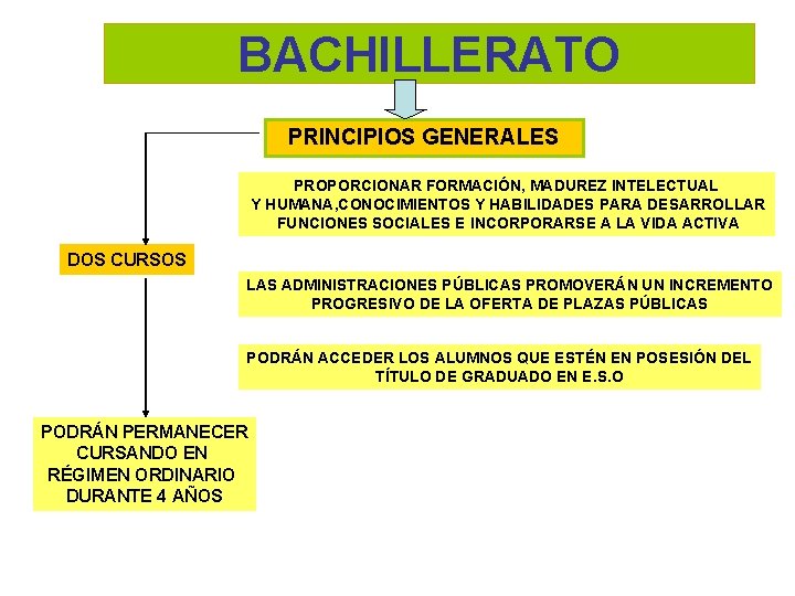 BACHILLERATO PRINCIPIOS GENERALES PROPORCIONAR FORMACIÓN, MADUREZ INTELECTUAL Y HUMANA, CONOCIMIENTOS Y HABILIDADES PARA DESARROLLAR
