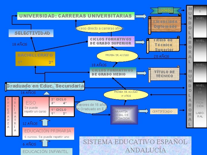 UNIVERSIDAD: CARRERAS UNIVERSITARIAS Acceso directo a carreras afines SELECTIVIDAD CICLOS FORMATIVOS DE GRADO SUPERIOR