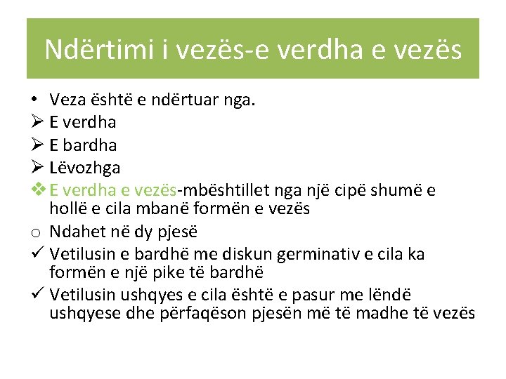 Ndërtimi i vezës-e verdha e vezës • Veza është e ndërtuar nga. Ø E