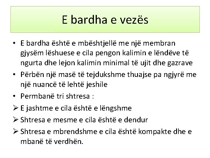E bardha e vezës • E bardha është e mbështjellë me një membran gjysëm