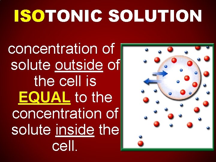 ISOTONIC SOLUTION concentration of solute outside of the cell is EQUAL to the concentration