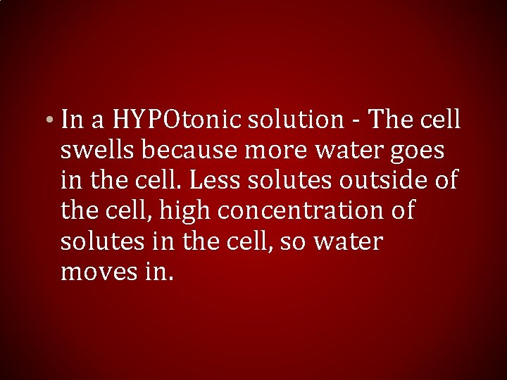  • In a HYPOtonic solution - The cell swells because more water goes